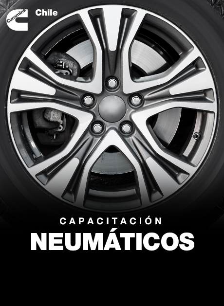 Neumáticos