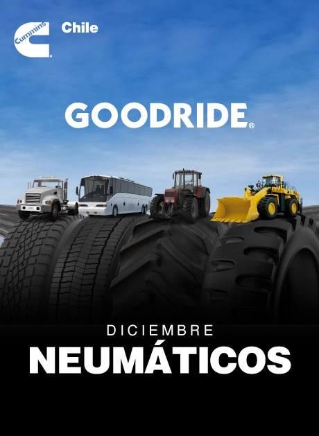 Puntos Nitro – Diciembre